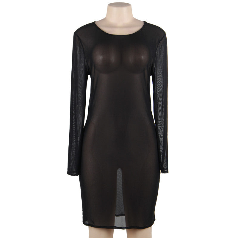 Plus Size Sexy Mesh Dress