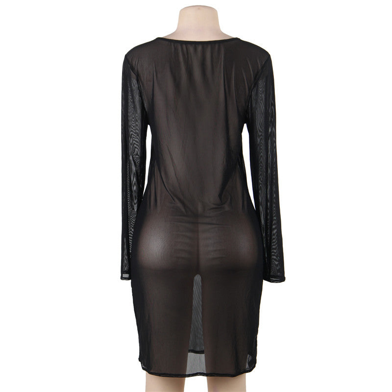 Plus Size Sexy Mesh Dress